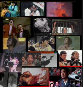 Sebo-pic_NK film poster-diversity